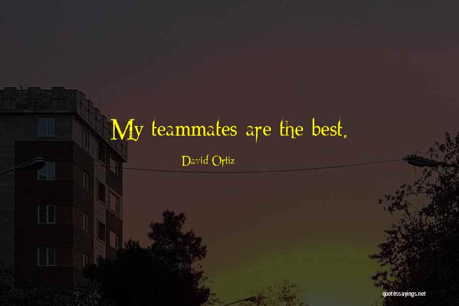 Castlevania Judgment Quotes By David Ortiz Castlevania Judgment Quotes By David Ortiz