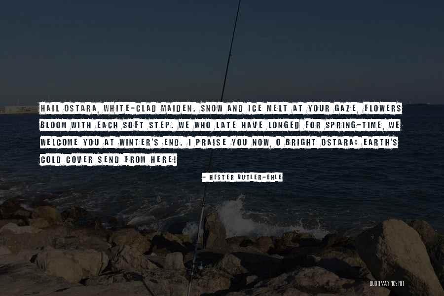 Castoffs Books Quotes By Hester Butler-Ehle