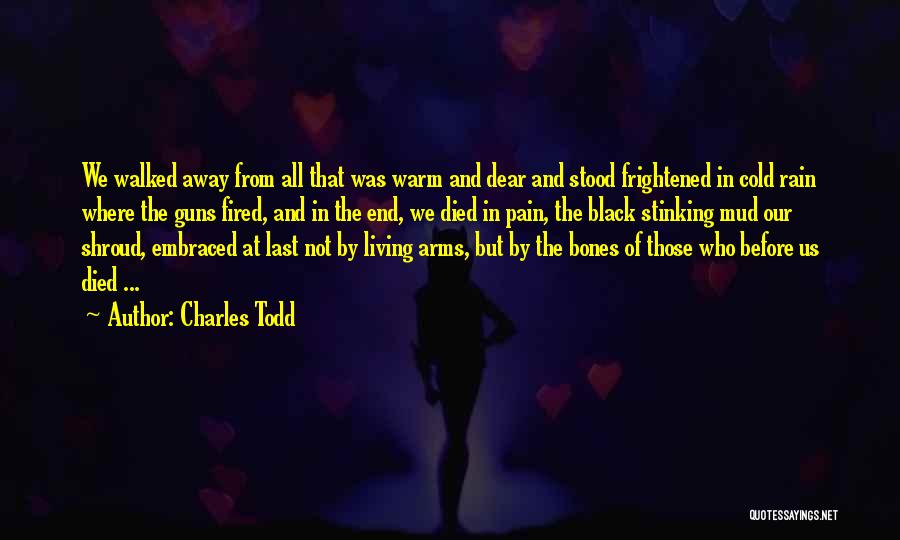 Castone Fireplaces Quotes By Charles Todd