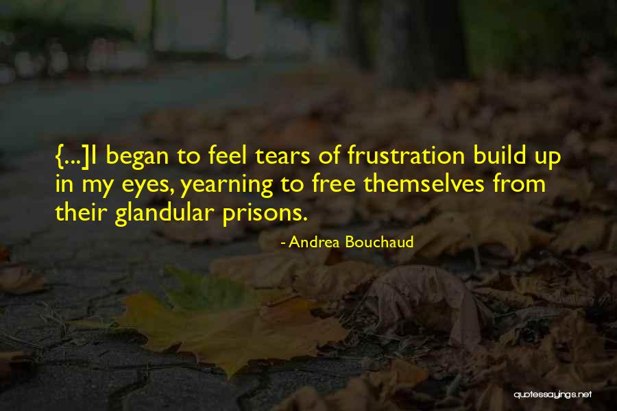 Castroneves Car Quotes By Andrea Bouchaud Castroneves Car Quotes By Andrea Bouchaud