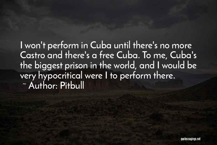 Castro's Quotes By Pitbull