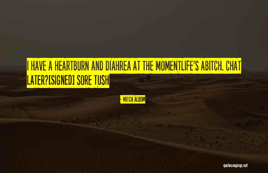 Castus Video Quotes By Mitch Albom Castus Video Quotes By Mitch Albom