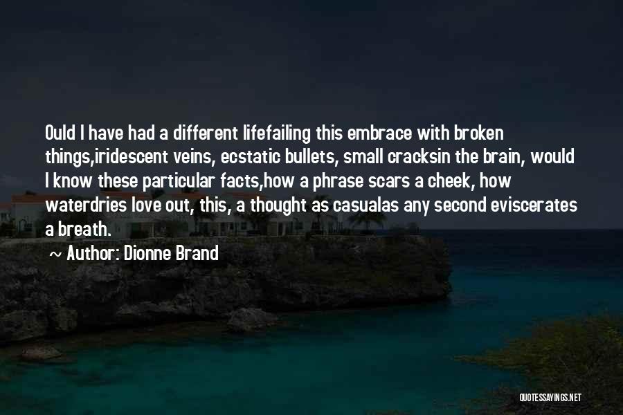 Casual Love Quotes By Dionne Brand