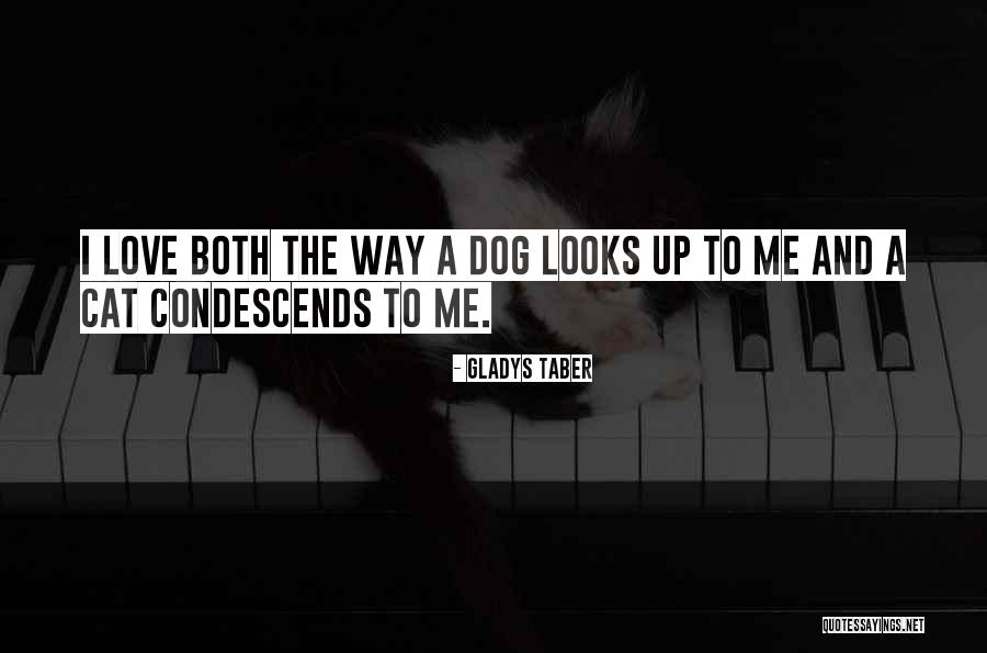 Cat And Dog Love Quotes By Gladys Taber Cat And Dog Love Quotes By Gladys Taber