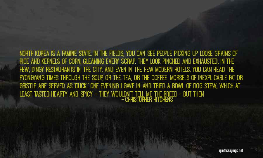 Cat And Dogs Quotes By Christopher Hitchens Cat And Dogs Quotes By Christopher Hitchens
