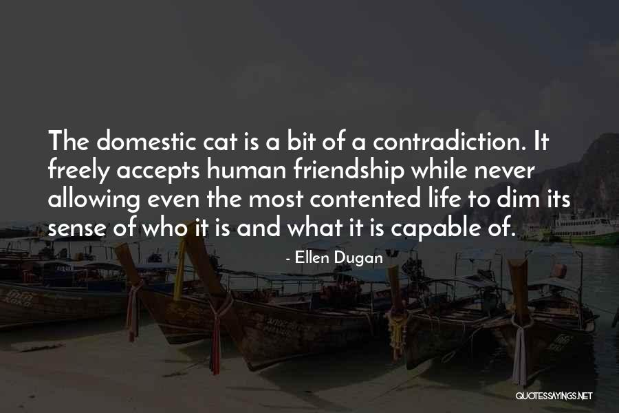 Cat And Human Friendship Quotes By Ellen Dugan