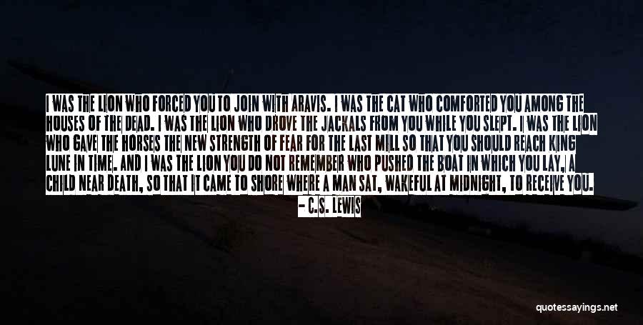 Cat And Lion Quotes By C.S. Lewis Cat And Lion Quotes By C.S. Lewis