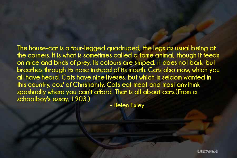 Cat And Mice Quotes By Helen Exley Cat And Mice Quotes By Helen Exley