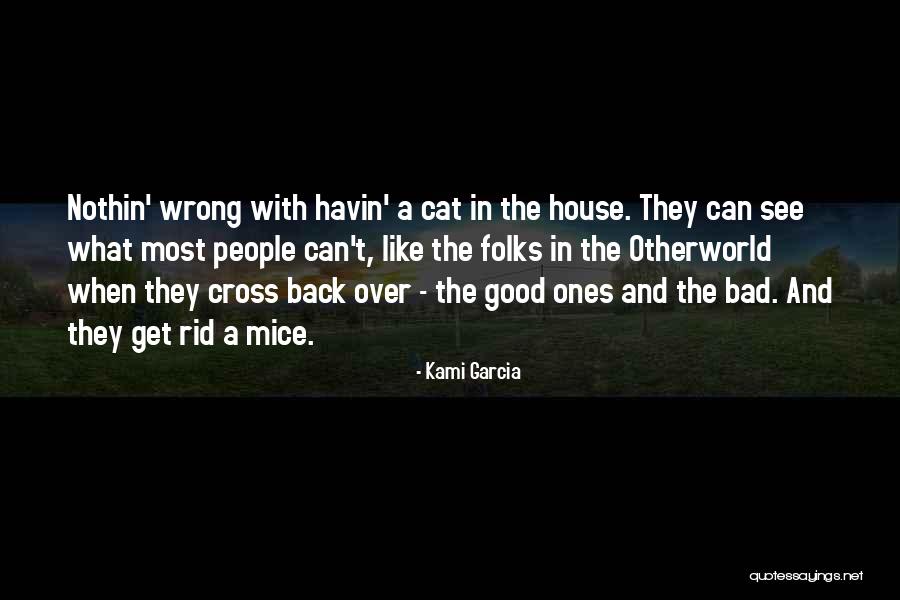 Cat And Mice Quotes By Kami Garcia Cat And Mice Quotes By Kami Garcia