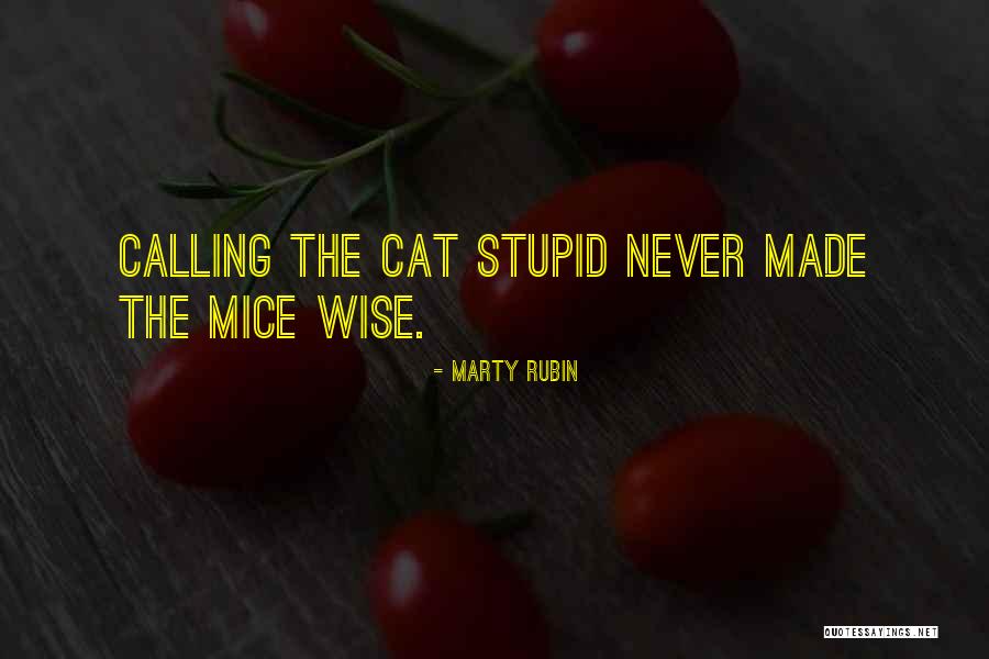 Cat And Mice Quotes By Marty Rubin