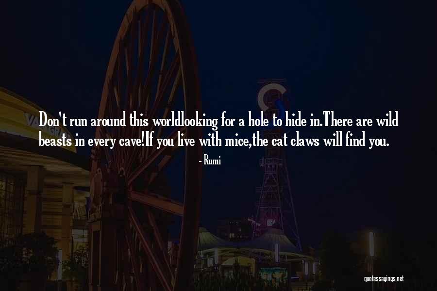 Cat And Mice Quotes By Rumi Cat And Mice Quotes By Rumi