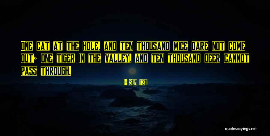 Cat And Mice Quotes By Sun Tzu Cat And Mice Quotes By Sun Tzu