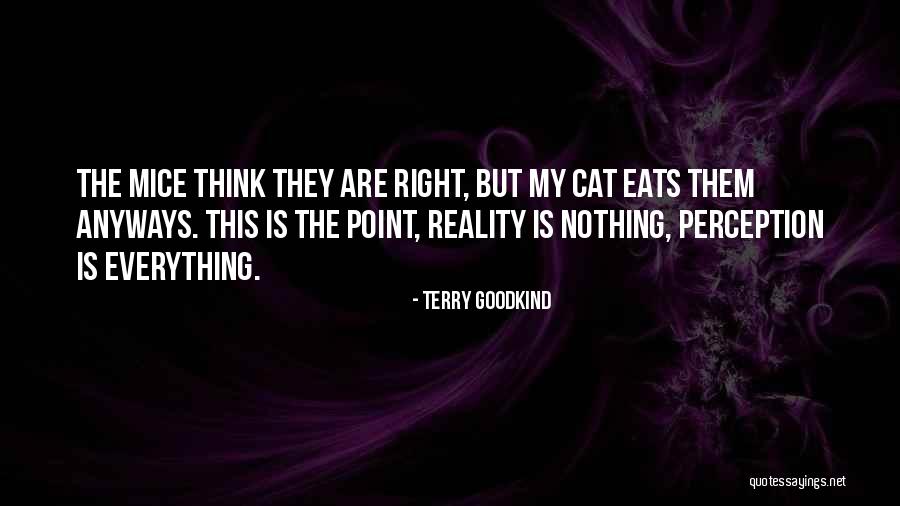Cat And Mice Quotes By Terry Goodkind Cat And Mice Quotes By Terry Goodkind