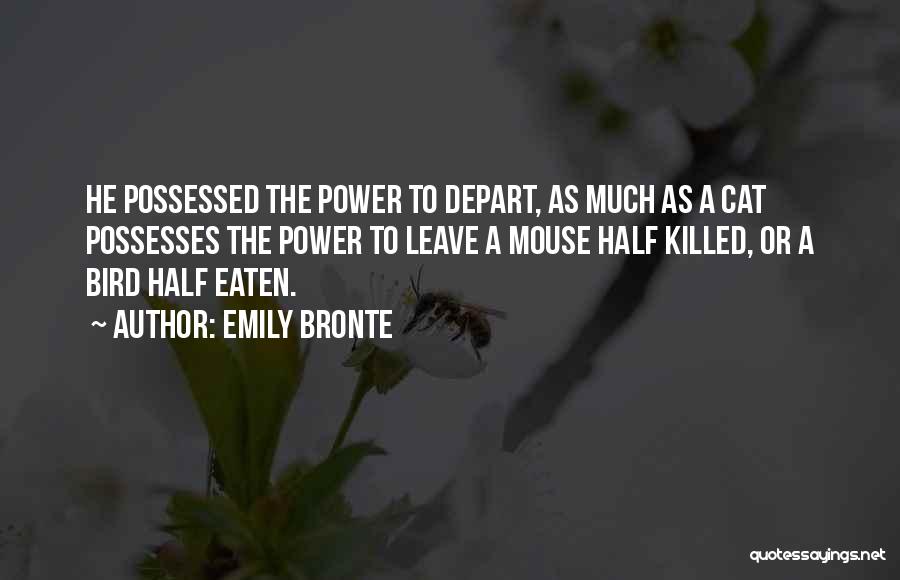 Cat And Mouse Love Quotes By Emily Bronte