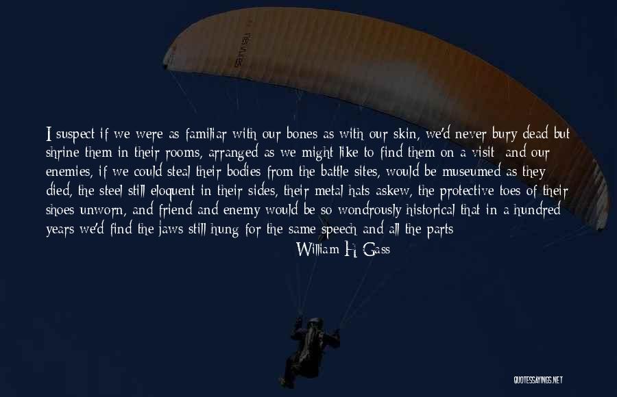 Cat Angel Quotes By William H Gass Cat Angel Quotes By William H Gass