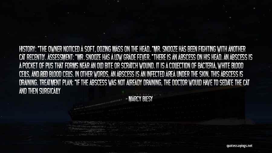 Cat Bite Quotes By Marcy Blesy Cat Bite Quotes By Marcy Blesy