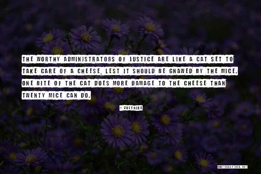 Cat Bite Quotes By Voltaire Cat Bite Quotes By Voltaire