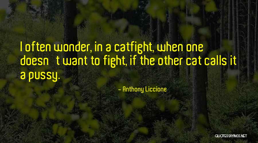 Cat Calls Quotes By Anthony Liccione