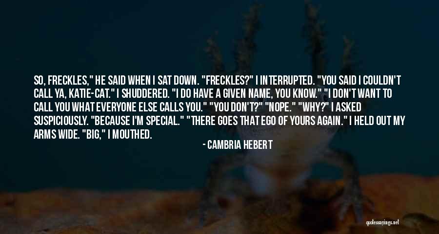 Cat Calls Quotes By Cambria Hebert