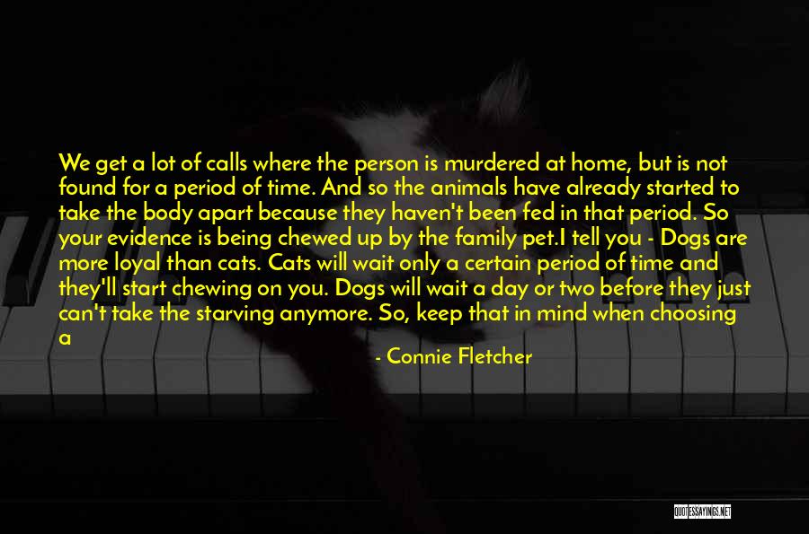 Cat Calls Quotes By Connie Fletcher