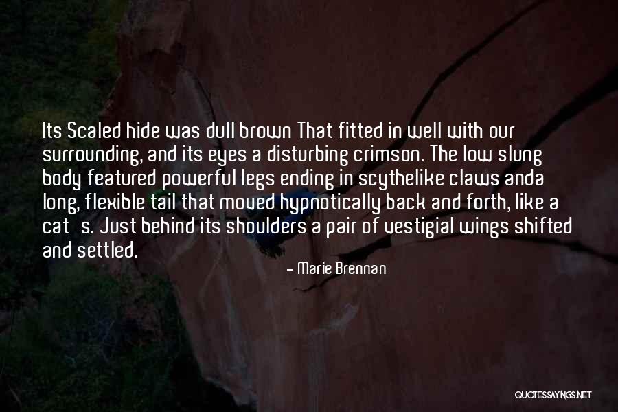 Cat Claws Quotes By Marie Brennan Cat Claws Quotes By Marie Brennan