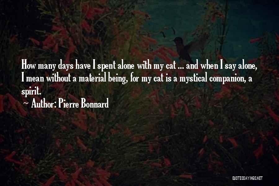 Cat Companion Quotes By Pierre Bonnard