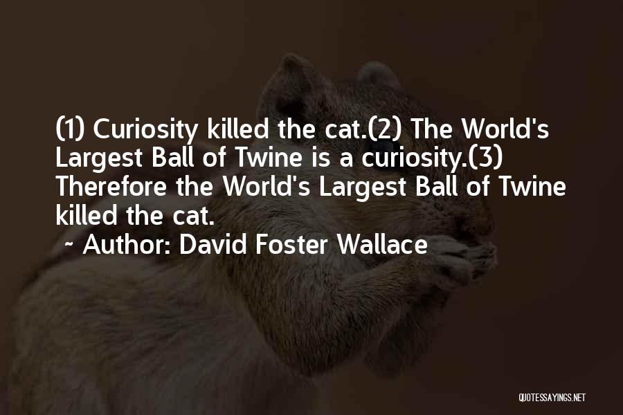 Cat Curiosity Quotes By David Foster Wallace