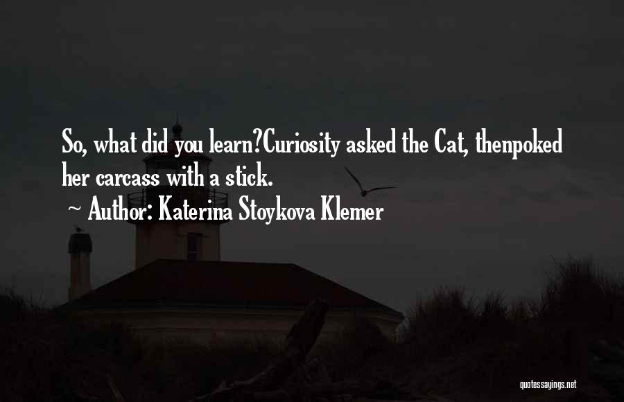 Cat Curiosity Quotes By Katerina Stoykova Klemer