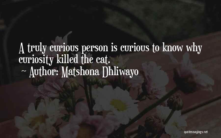 Cat Curiosity Quotes By Matshona Dhliwayo