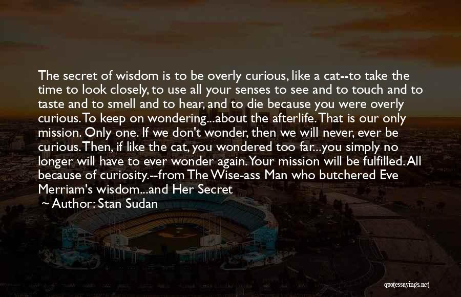 Cat Curiosity Quotes By Stan Sudan