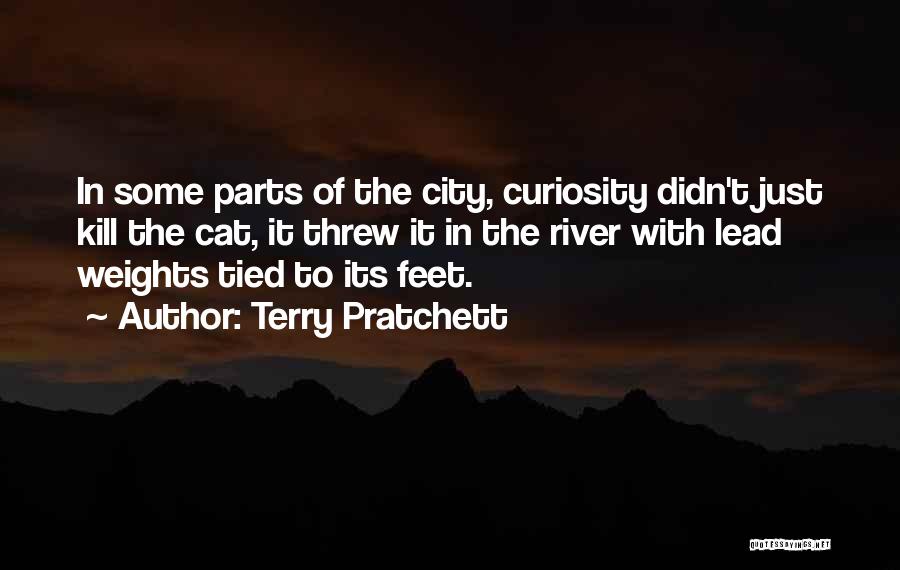 Cat Curiosity Quotes By Terry Pratchett