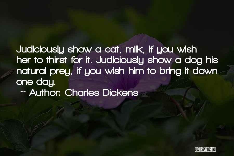 Cat Dog Show Quotes By Charles Dickens