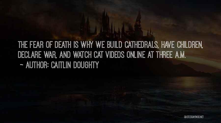 Cat Dying Quotes By Caitlin Doughty