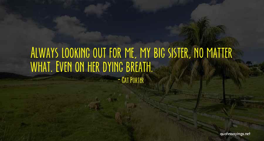 Cat Dying Quotes By Cat Porter Cat Dying Quotes By Cat Porter
