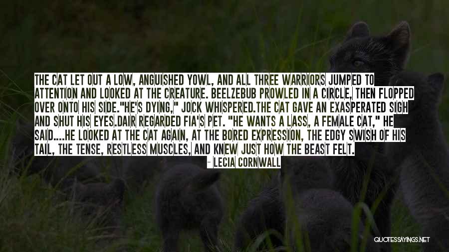 Cat Dying Quotes By Lecia Cornwall Cat Dying Quotes By Lecia Cornwall