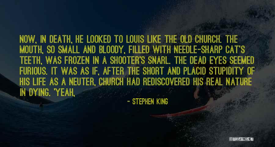 Cat Dying Quotes By Stephen King Cat Dying Quotes By Stephen King