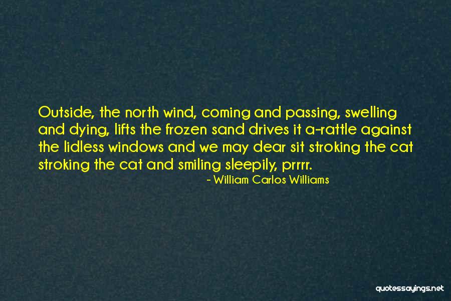 Cat Dying Quotes By William Carlos Williams Cat Dying Quotes By William Carlos Williams