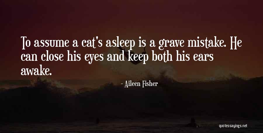 Cat Ears Quotes By Aileen Fisher