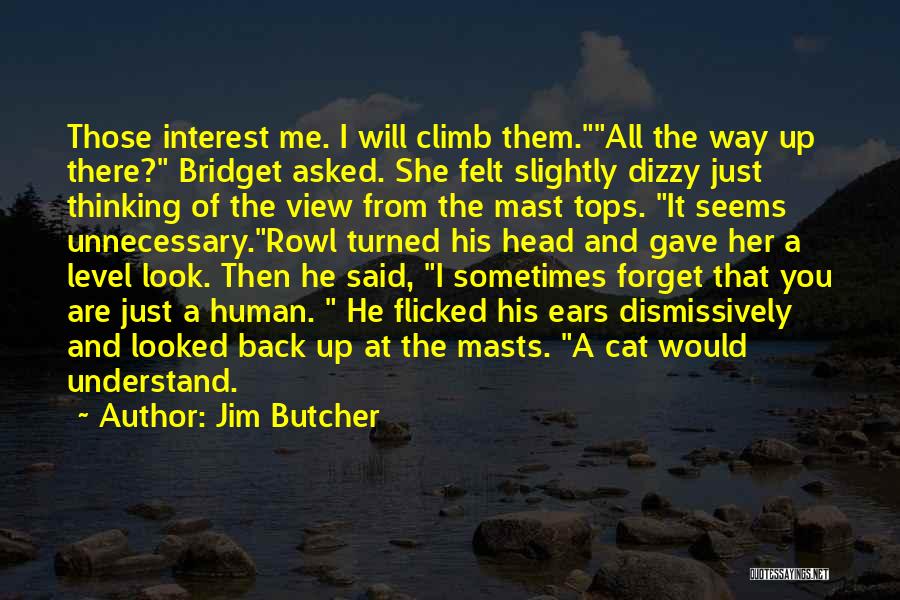 Cat Ears Quotes By Jim Butcher