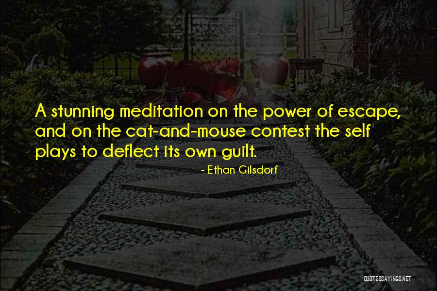 Cat Escape Quotes By Ethan Gilsdorf Cat Escape Quotes By Ethan Gilsdorf