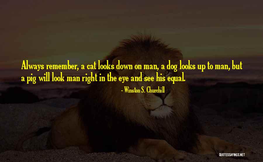 Cat Eye Quotes By Winston S. Churchill Cat Eye Quotes By Winston S. Churchill