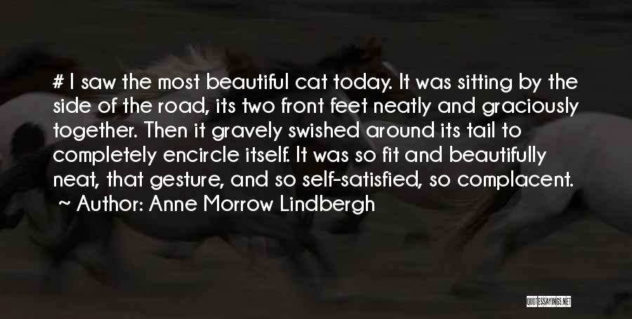 Cat Feet Quotes By Anne Morrow Lindbergh