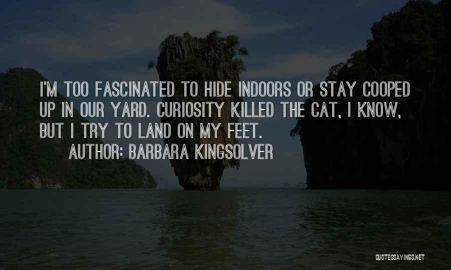 Cat Feet Quotes By Barbara Kingsolver