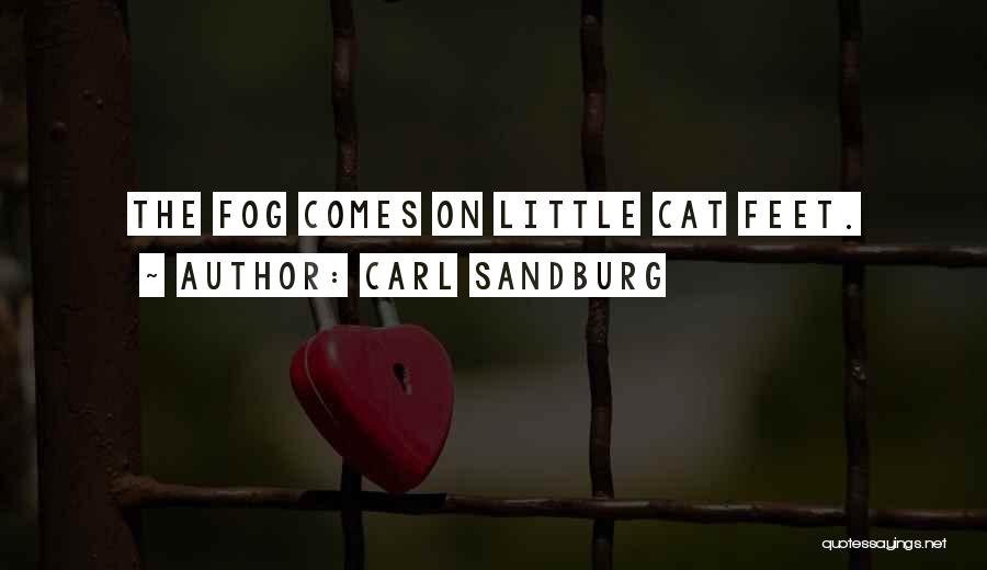 Cat Feet Quotes By Carl Sandburg