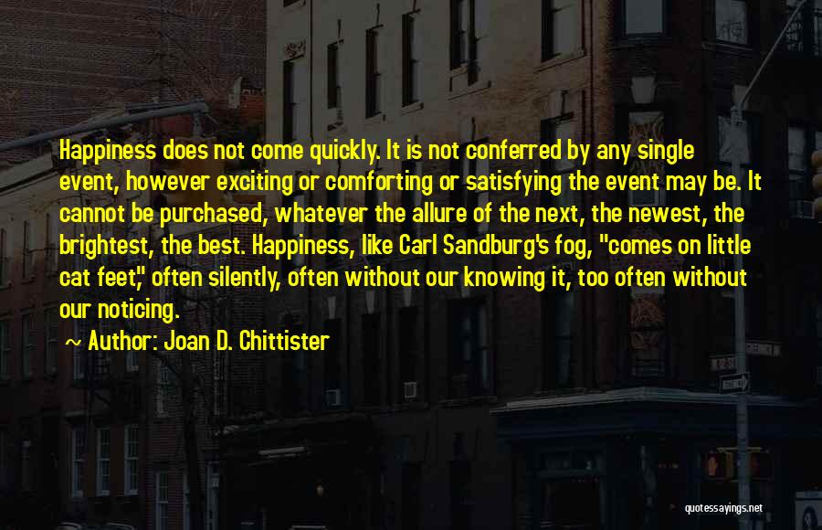 Cat Feet Quotes By Joan D. Chittister