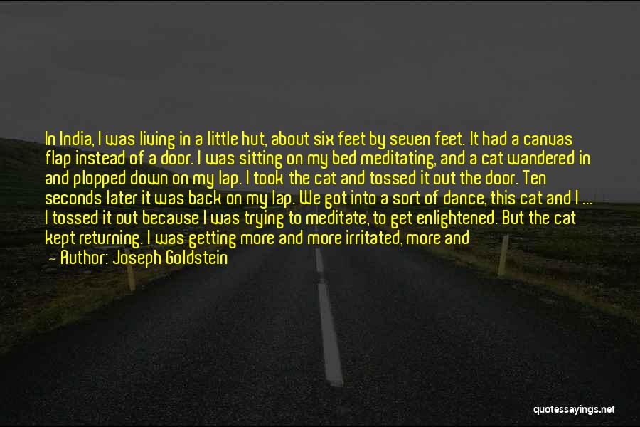 Cat Feet Quotes By Joseph Goldstein