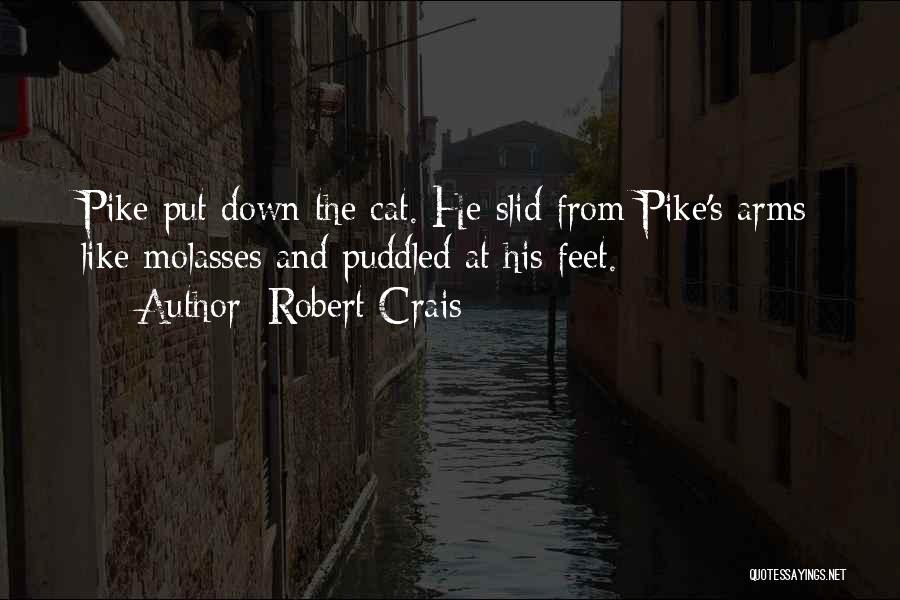 Cat Feet Quotes By Robert Crais