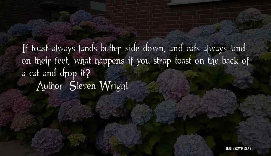 Cat Feet Quotes By Steven Wright