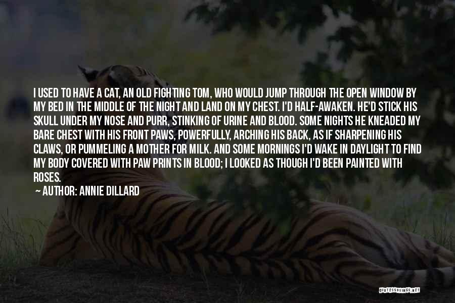 Cat Fighting Quotes By Annie Dillard