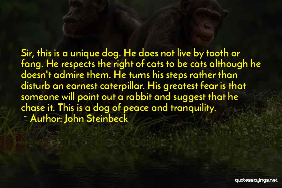 Cat Friendship Quotes By John Steinbeck